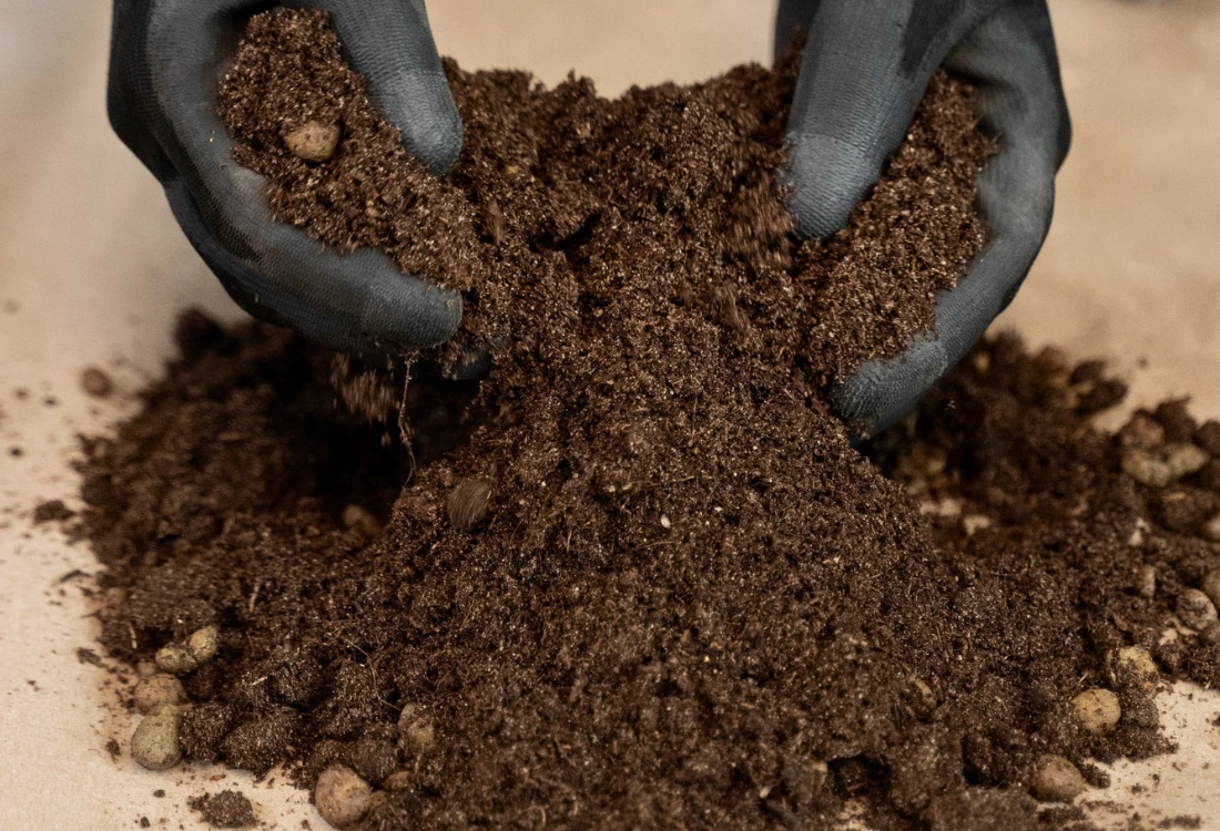 Vermicompost