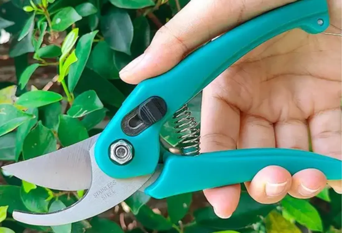 Plant Cutter